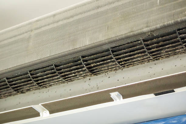 Best Commercial Air Duct Cleaning  in Jesup, IA